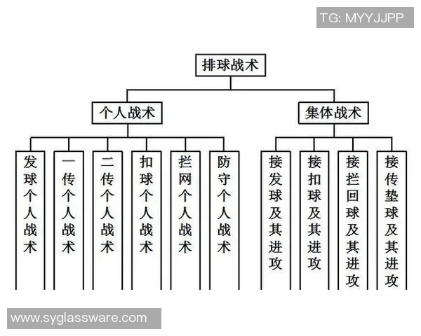 深入分析广州排球队中路突破战术的优势与应用策略